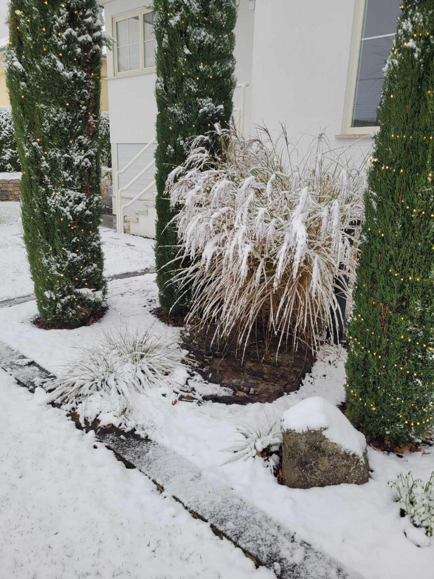 Tauberperle - Exklusives Ferienapartment Lauda-Königshofen Esterno foto